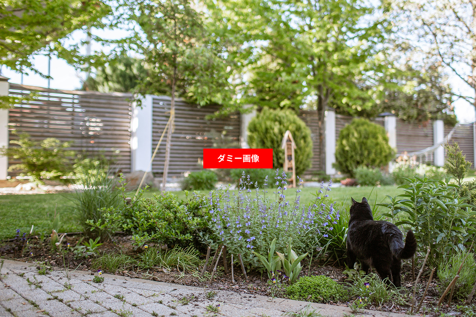 南側には庭の景色が広がり、休日の時間をゆっくり楽しむ